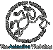 the animation workshop